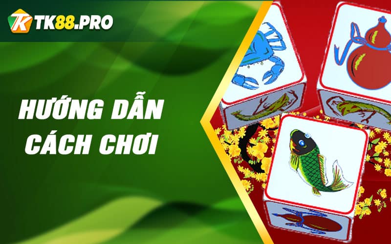 Hướng Dẫn Cách Chơi